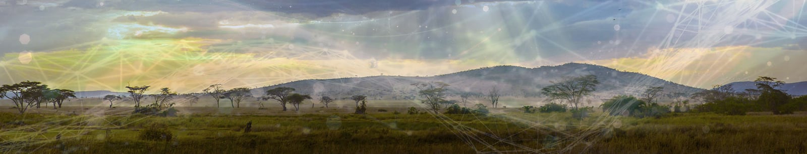 Default HubSpot Blog